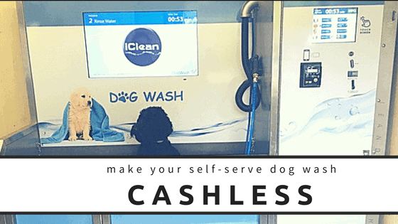 Make your self-serve dog wash cashless